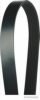 MAGNETI MARELLI 600000002490 V-Ribbed Belts